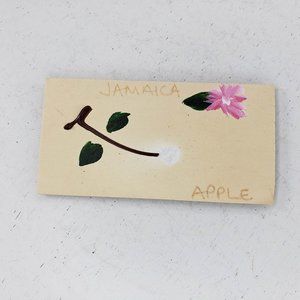 Jamaica Apple Hand Painted Handmade Magnet Kitchen Fridge